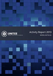 activity-report-2013